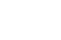 icon data