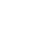 icon data