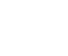 icon data